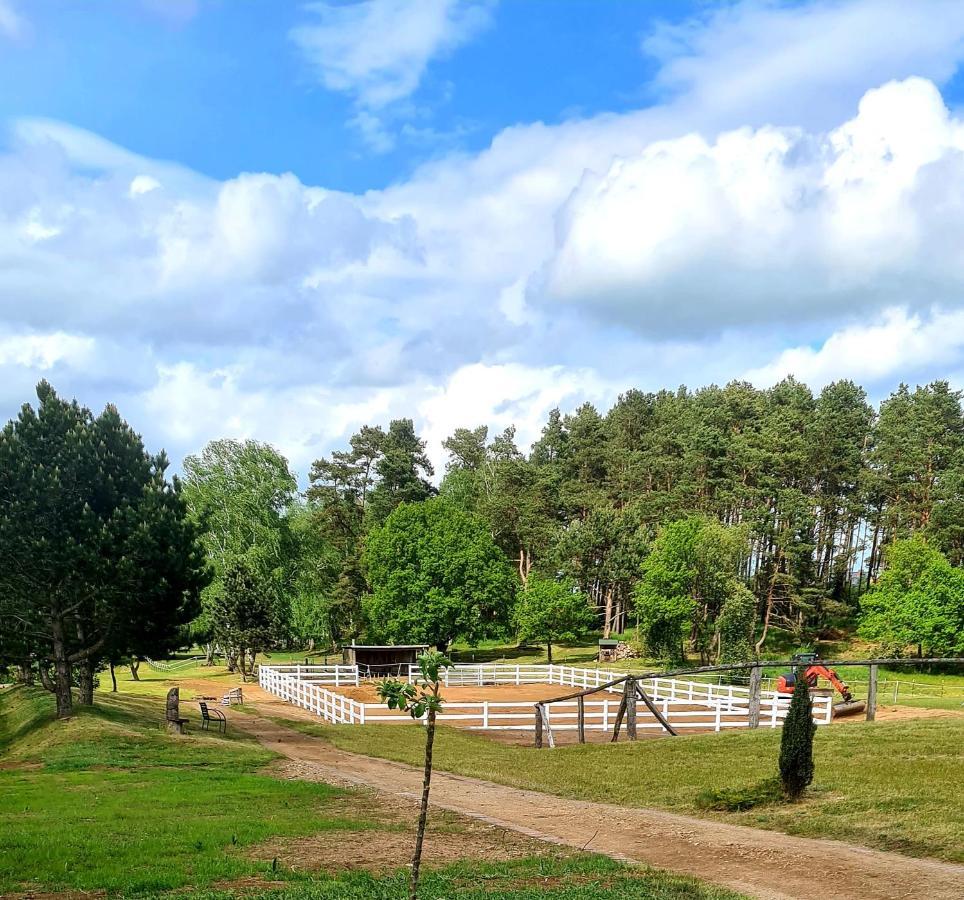 Kur-& Landhotel Borstel - Treff Dabel Екстериор снимка